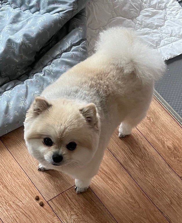 어거스트치킨동탄호수점 이미지