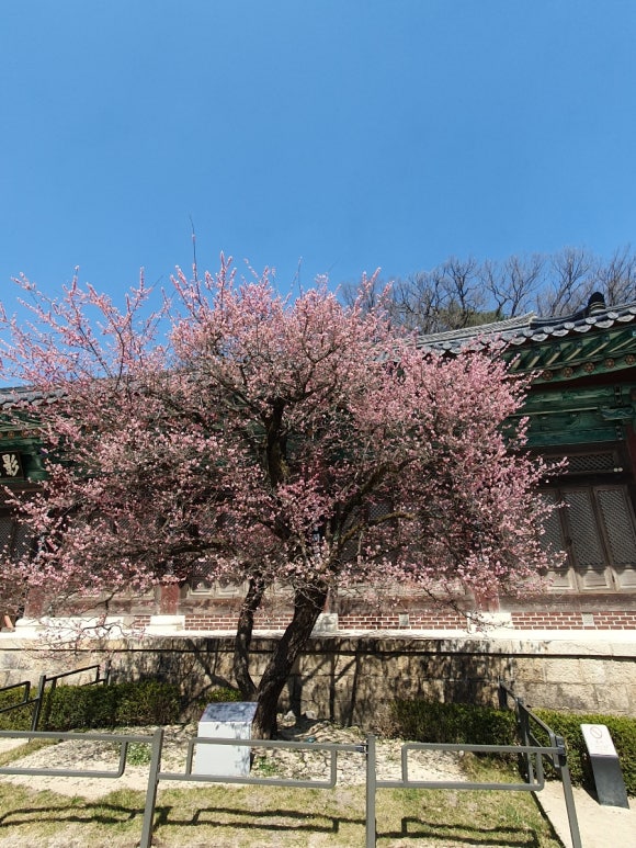 일품해물칼국수 이미지