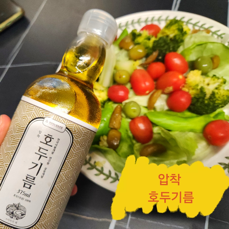 올가담 이미지