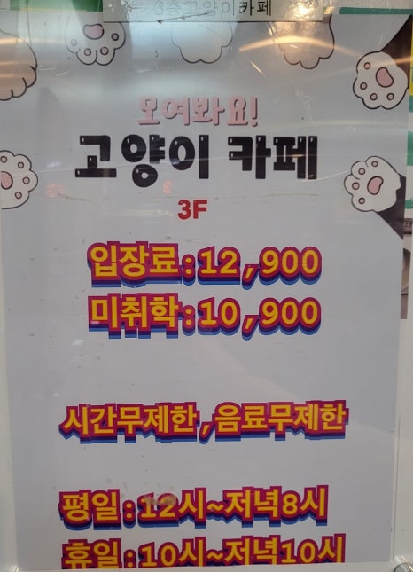 모여봐요 고양이카페 이미지
