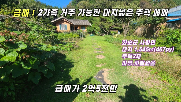 대지행정사무소 이미지
