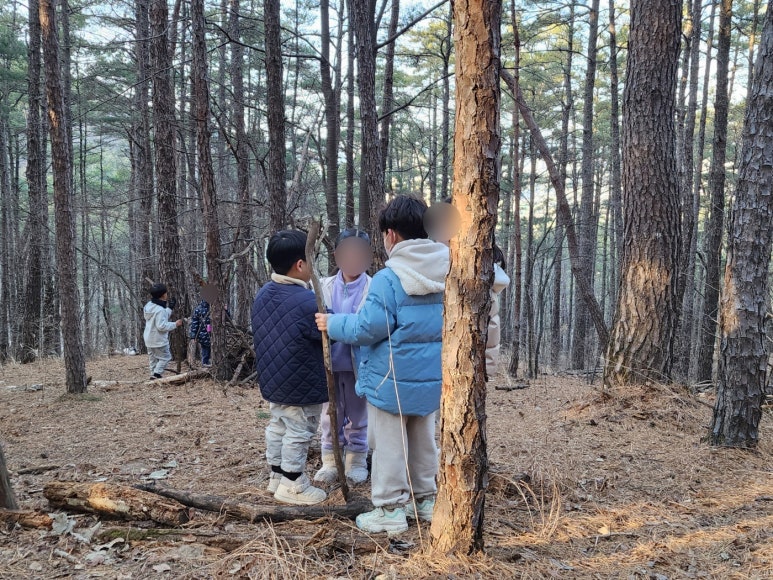 숲에서자라는아이들 이미지