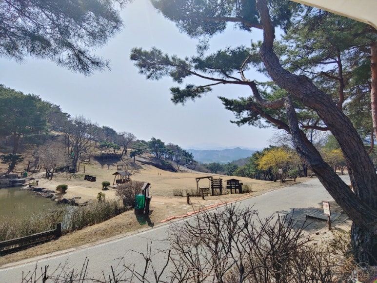 파파스브로트 이미지