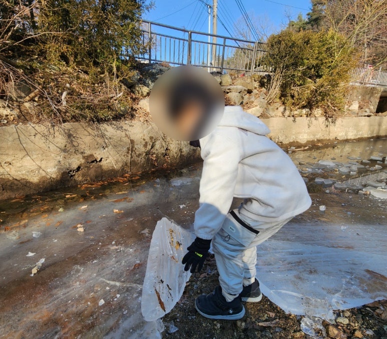숲에서자라는아이들 이미지