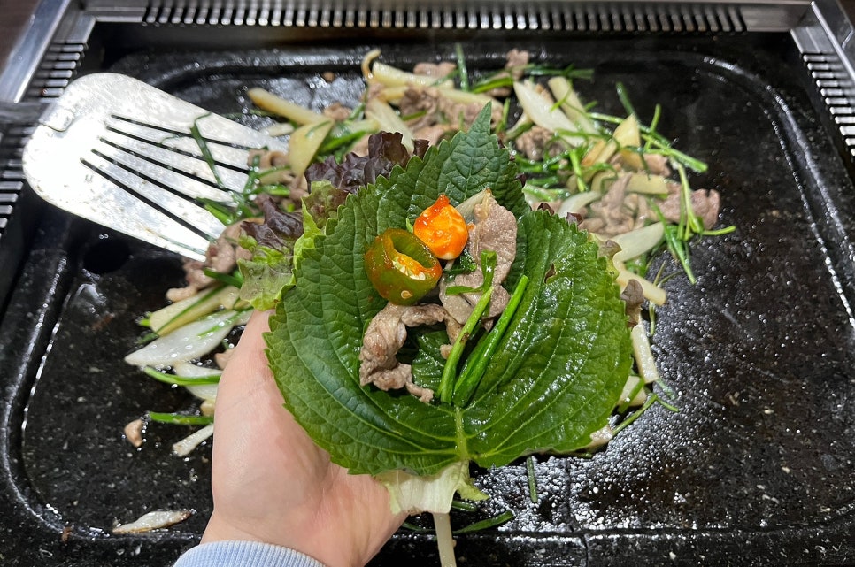 아리 아리 국수 이미지