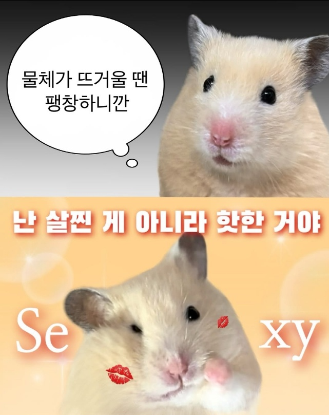 우마이 이미지