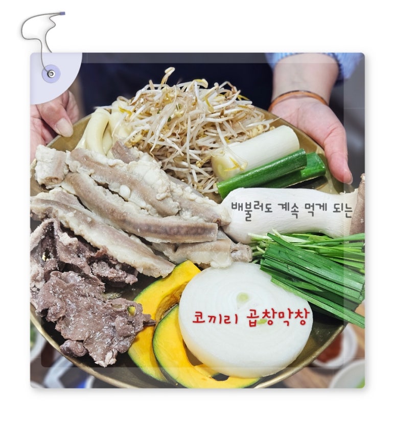 코끼리곱창 이미지