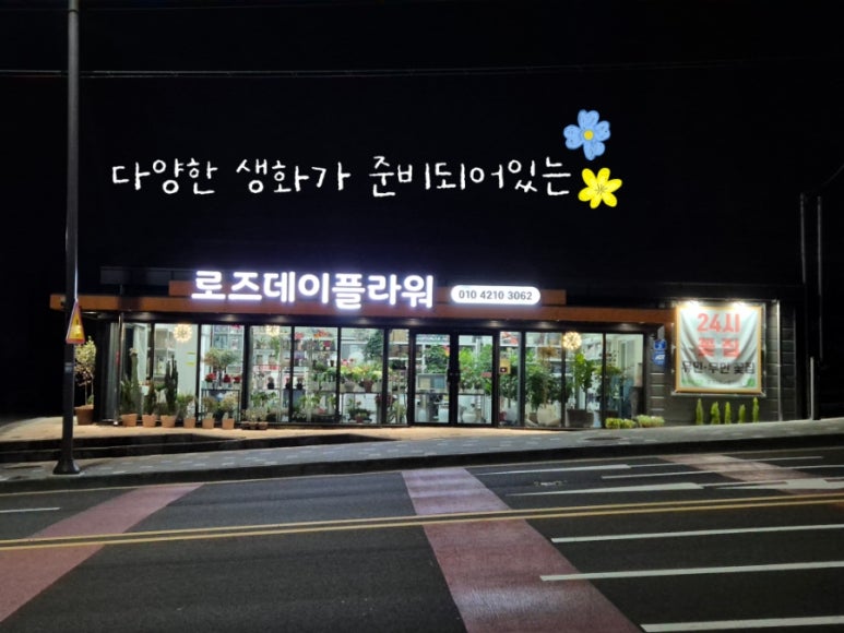 24시꽃 이미지