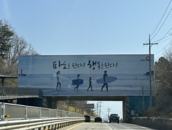 남애항물회 이미지