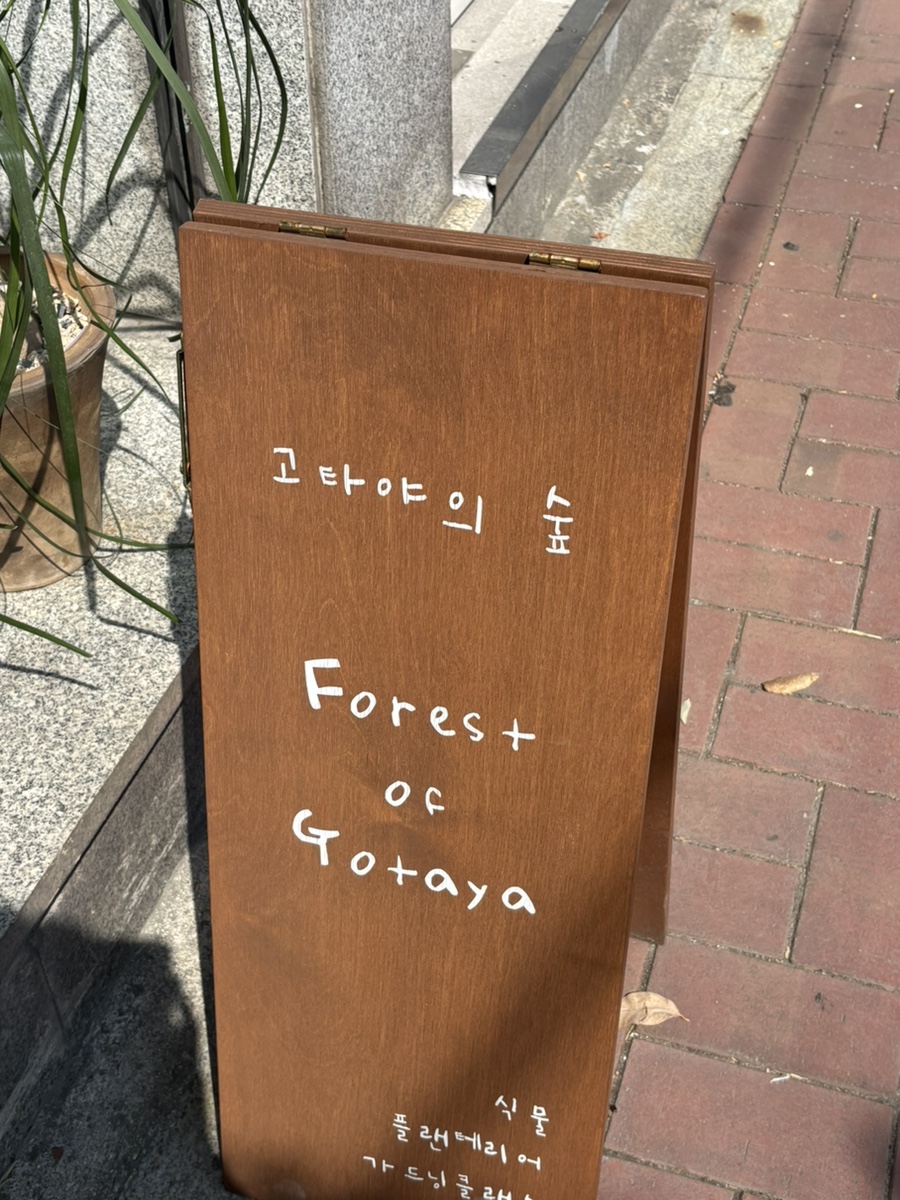 고타야의숲 이미지