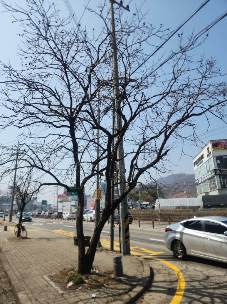 풍성농약사 이미지