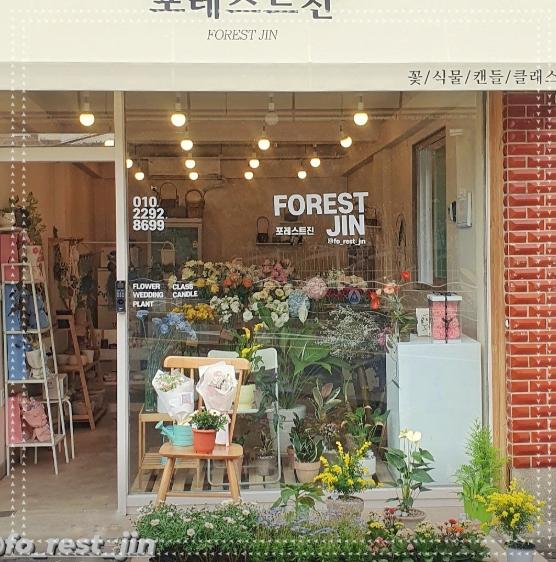 진화꽃집 이미지