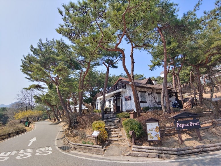 파파스브로트 이미지