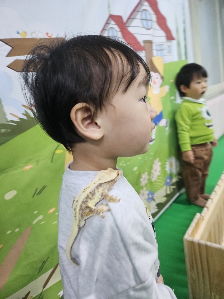 공감펫토리 이미지