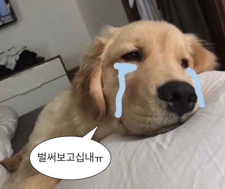 오코노미볼트 이미지