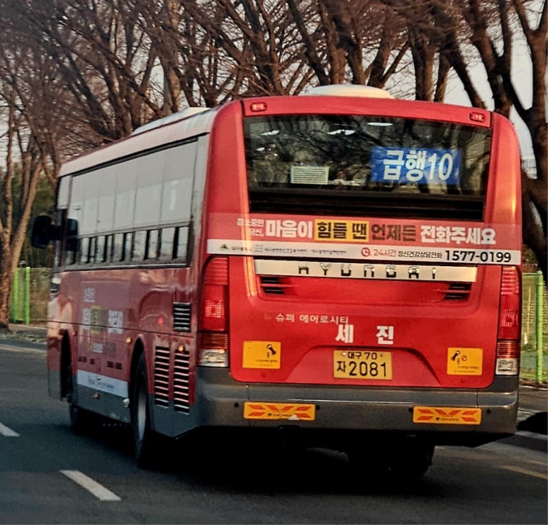 뉴세진광고 이미지