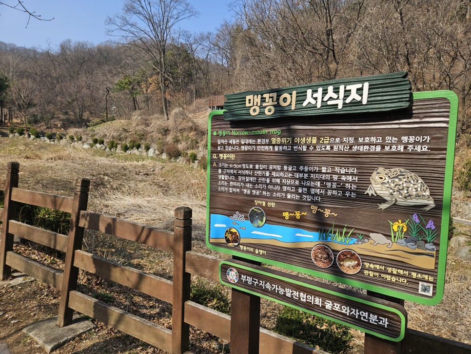 원적산공원 유아숲체험원 이미지