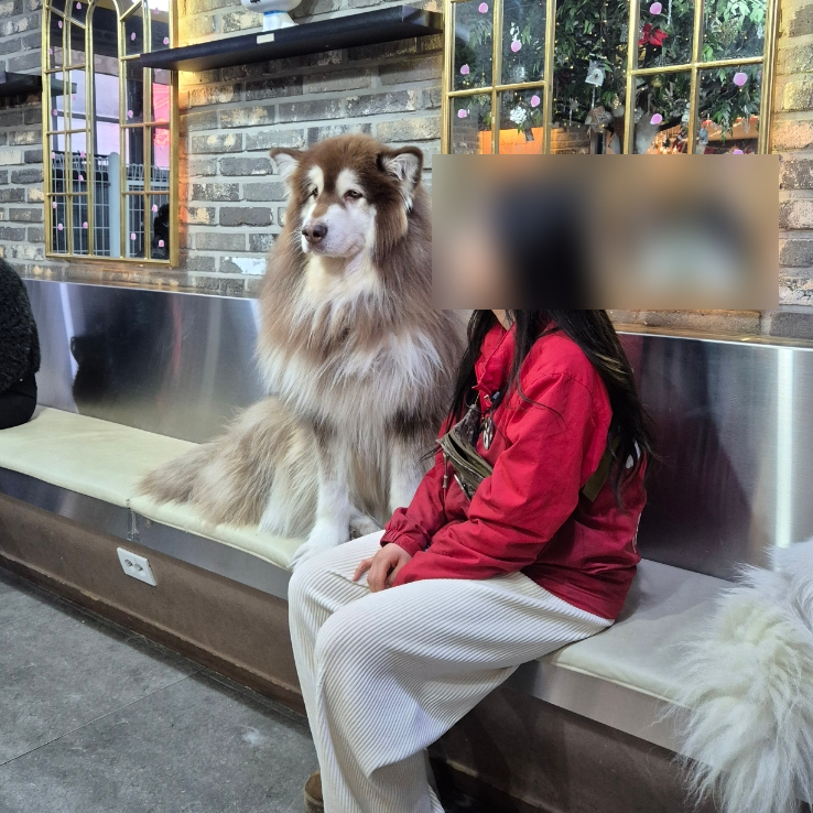 겨울이머무는집 이미지