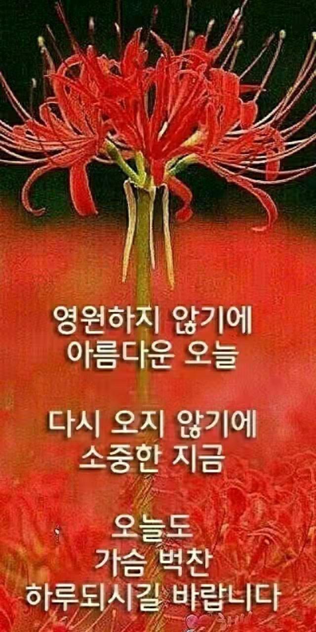 수지상사 이미지