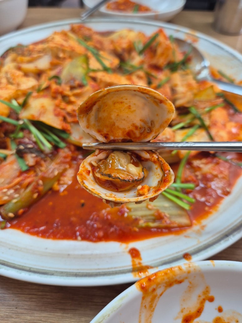 조개생칼국수 이미지