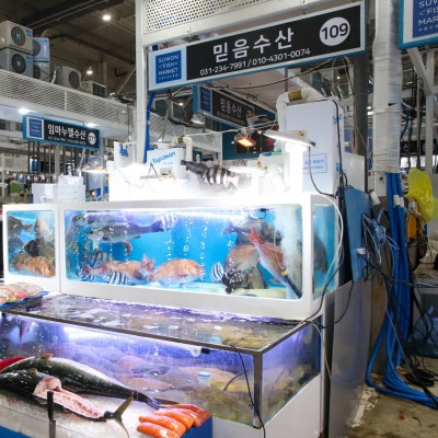 믿음수산 이미지