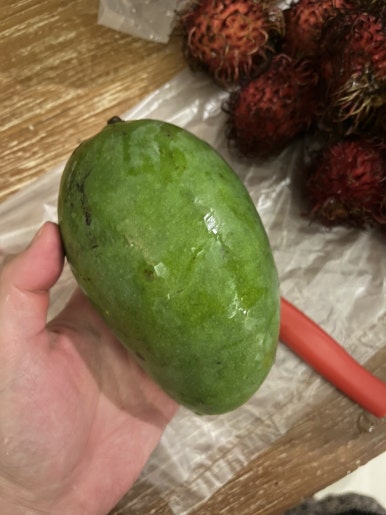 발리라이브 이미지
