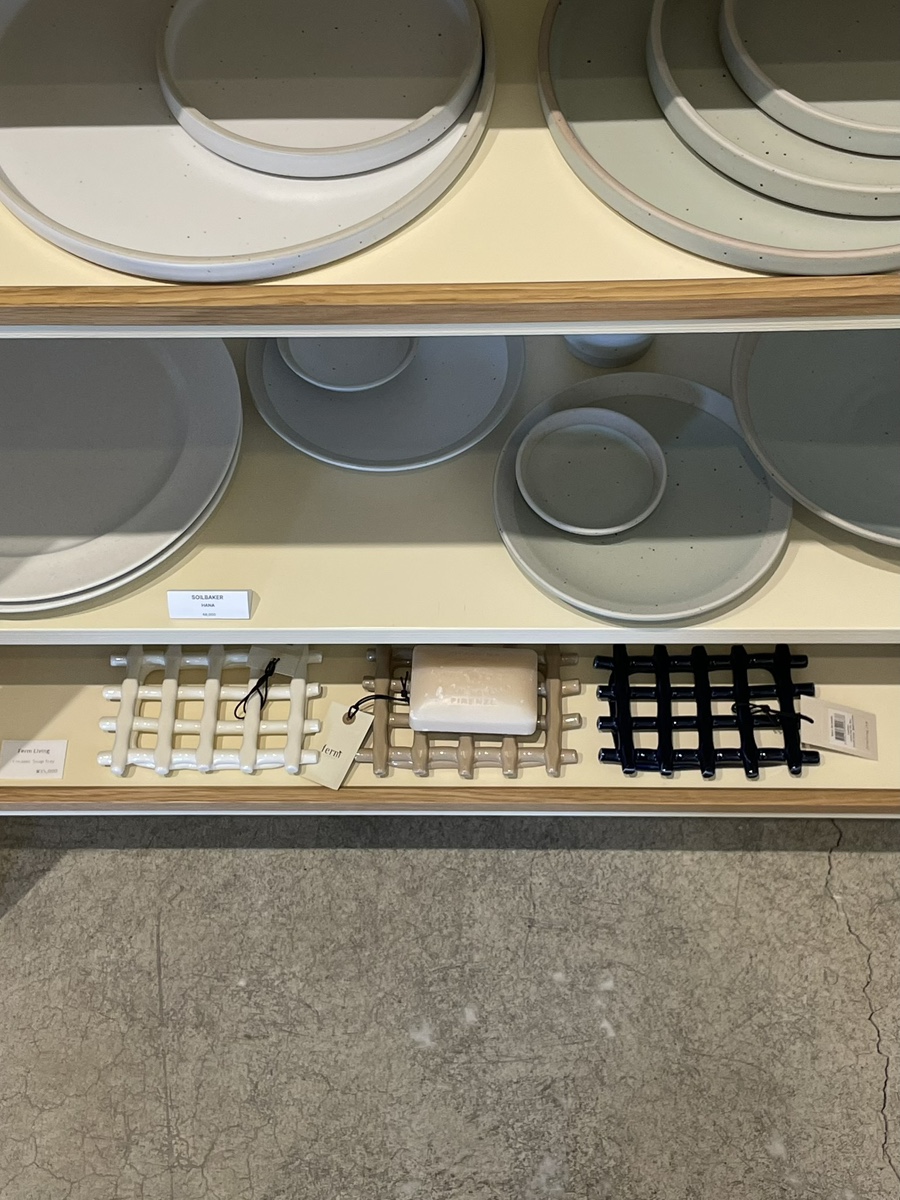 팔로디리몬 이미지