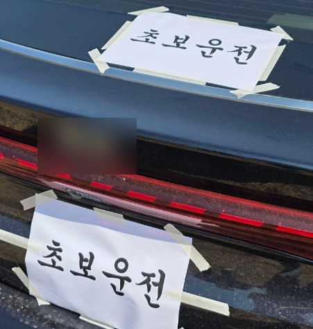 조성꽃순이 이미지
