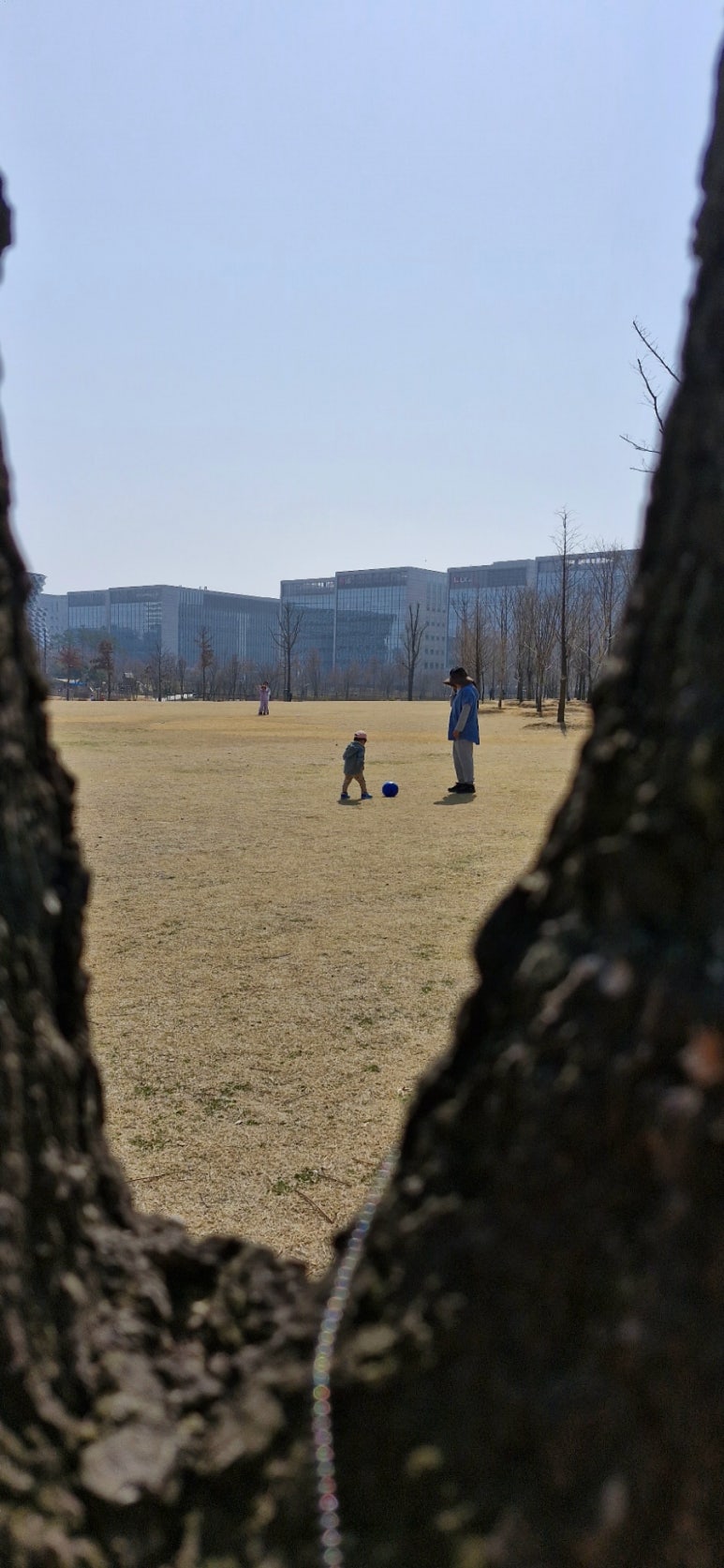 공도꽃식물원 이미지