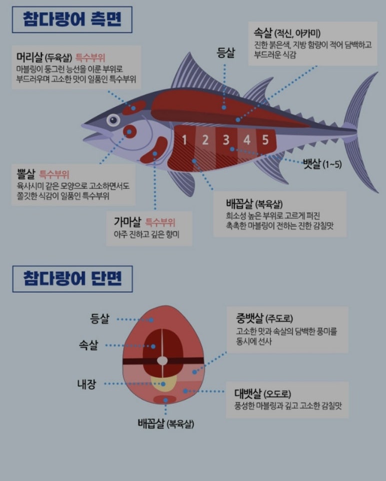 아이참치회포장 이미지