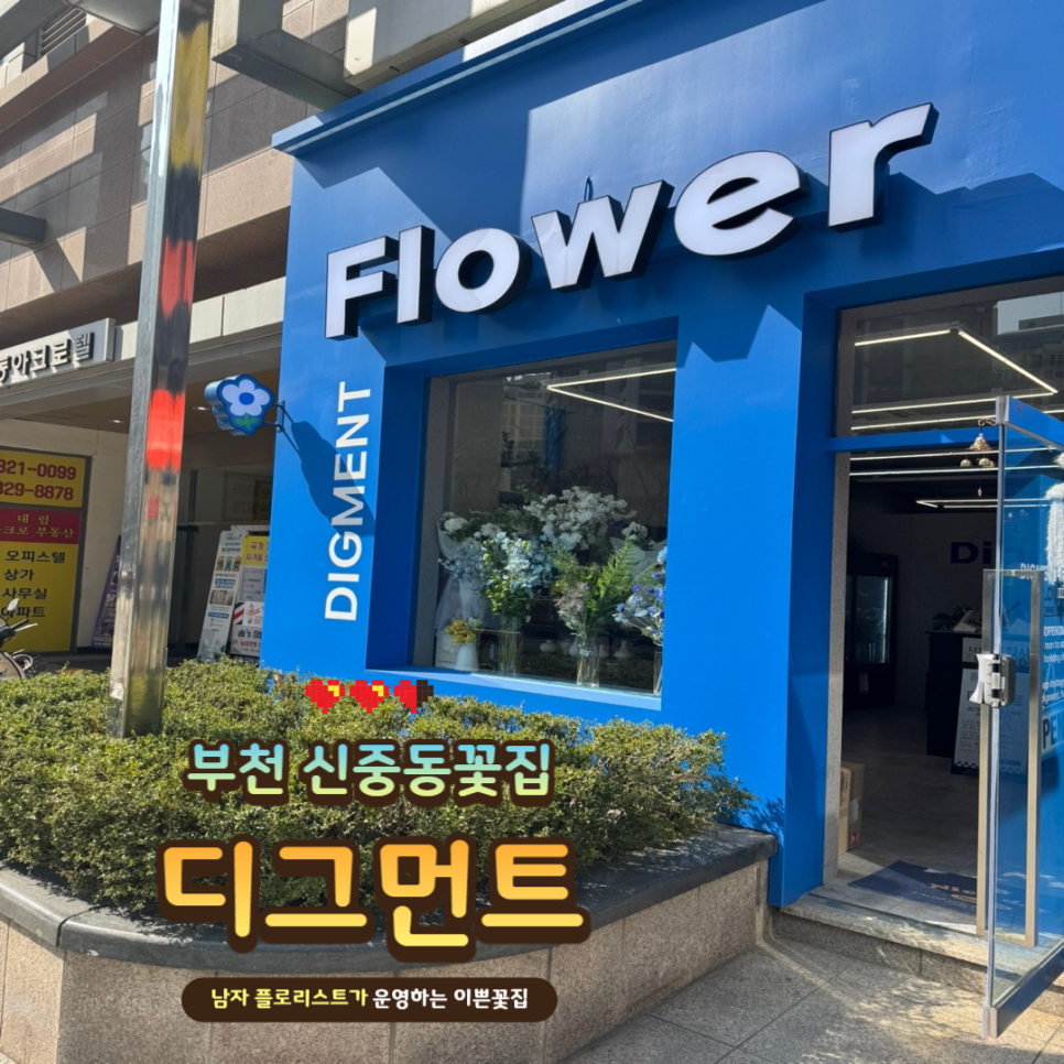 디그먼트 이미지