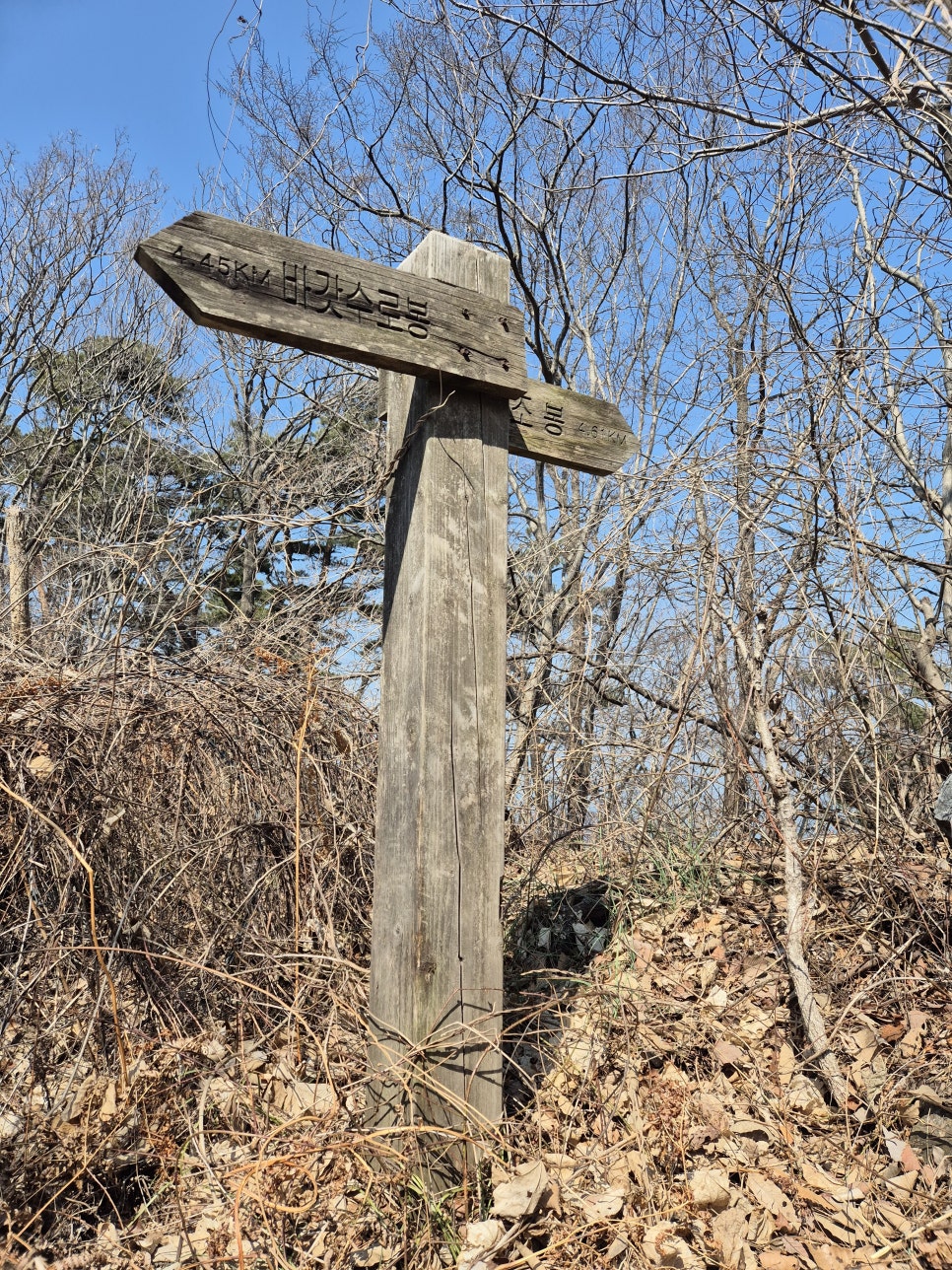 국수봉 정상 이미지