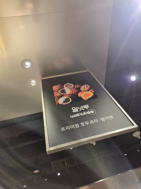 월넛투 이미지