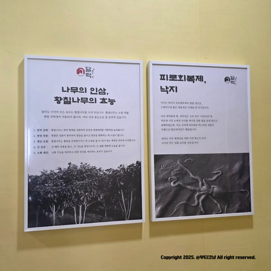 달락달리도낙지 이미지