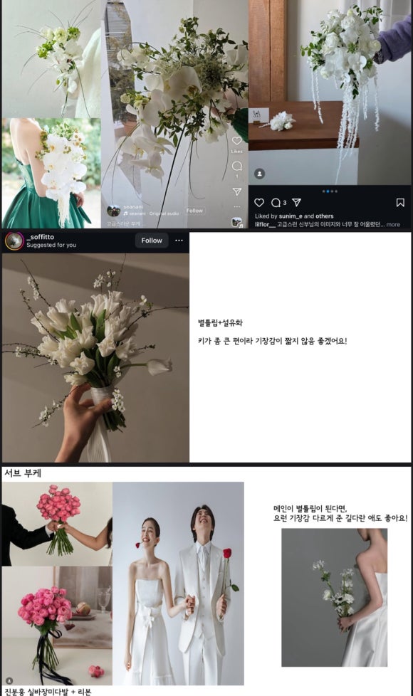 포엠플레르 이미지