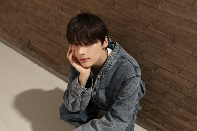모아더 이미지