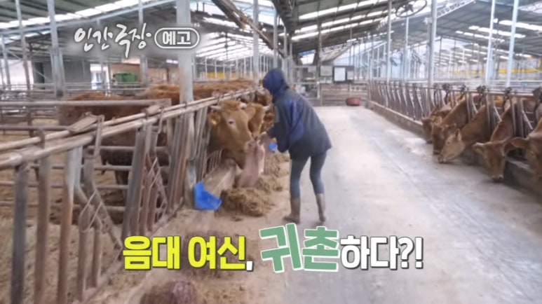 세미씨 이미지