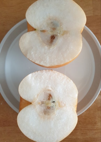 대남농원 이미지