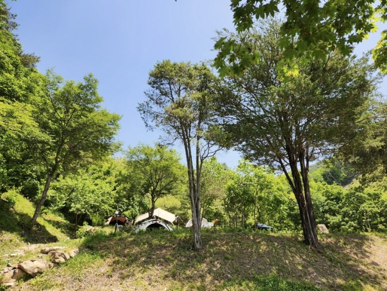 단양오지캠핑장 이미지