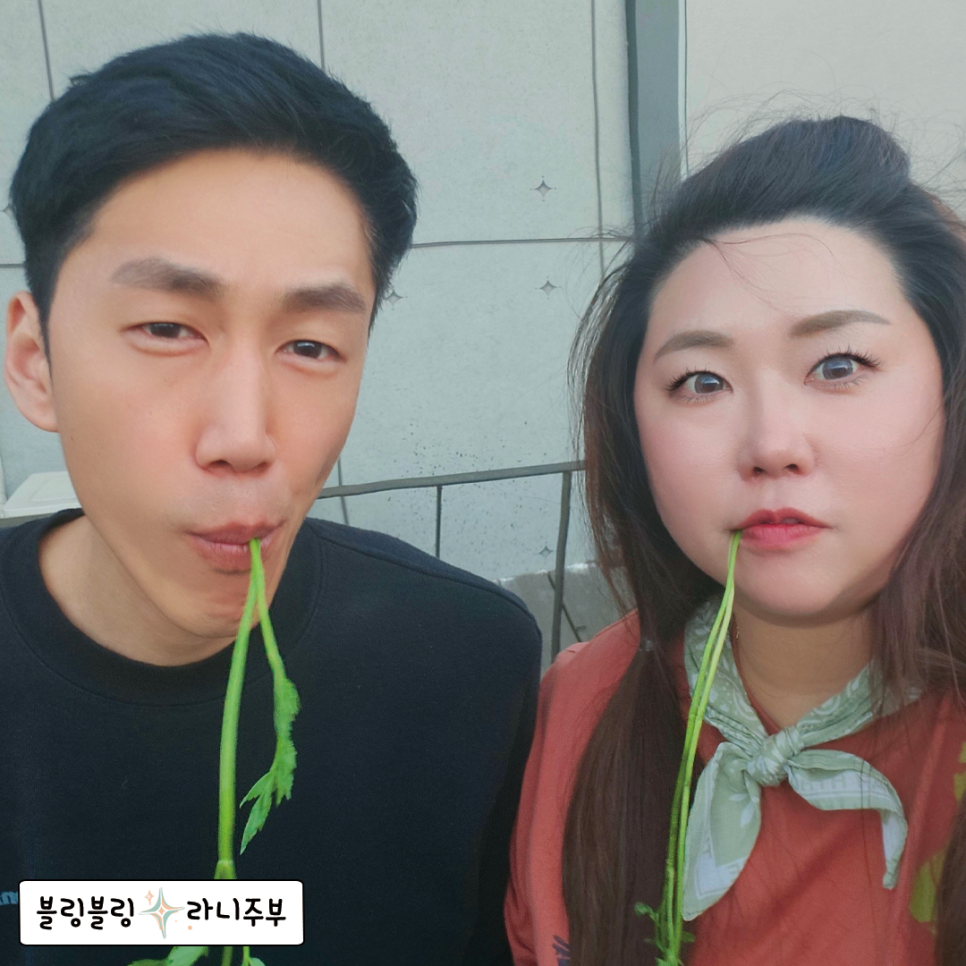 청도지오오토캠핑장 이미지