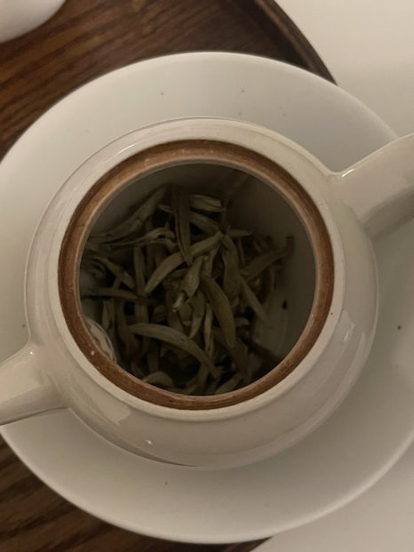 호랑티티 이미지
