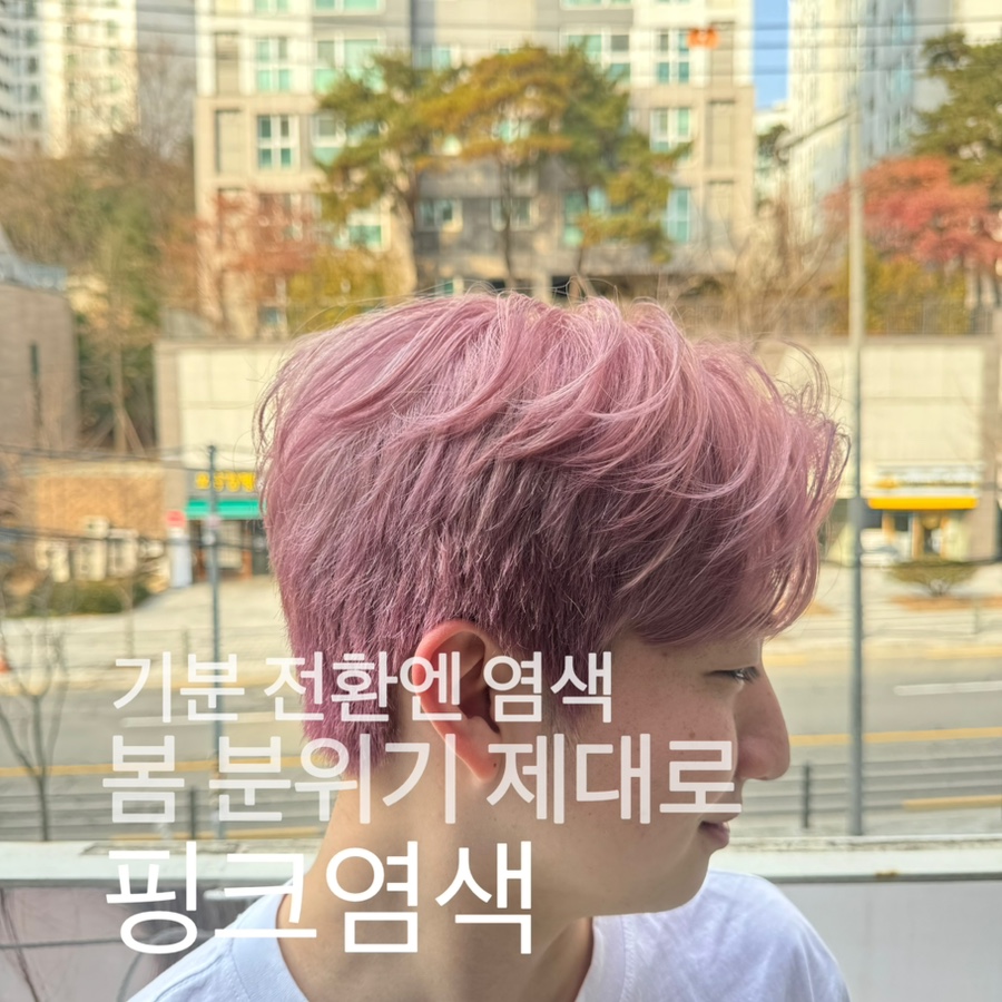 핑크헤어타운 이미지