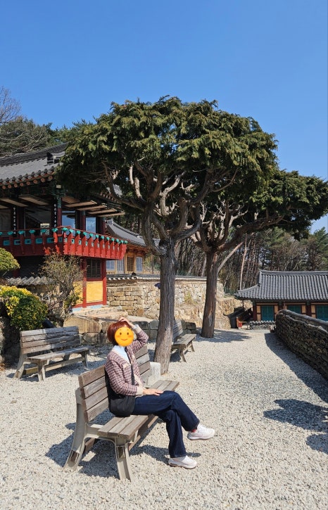 담장아래 볕 이미지