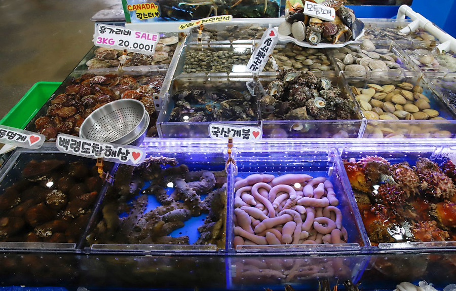 믿음수산 이미지