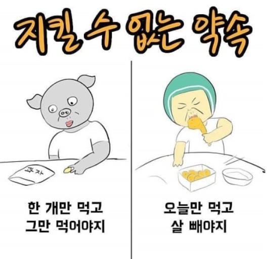 점핑랜드 이미지