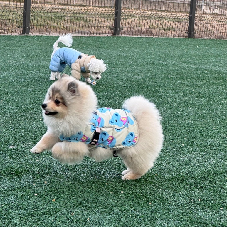군자유치원 이미지