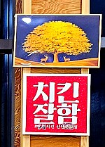 뻘땅 이미지