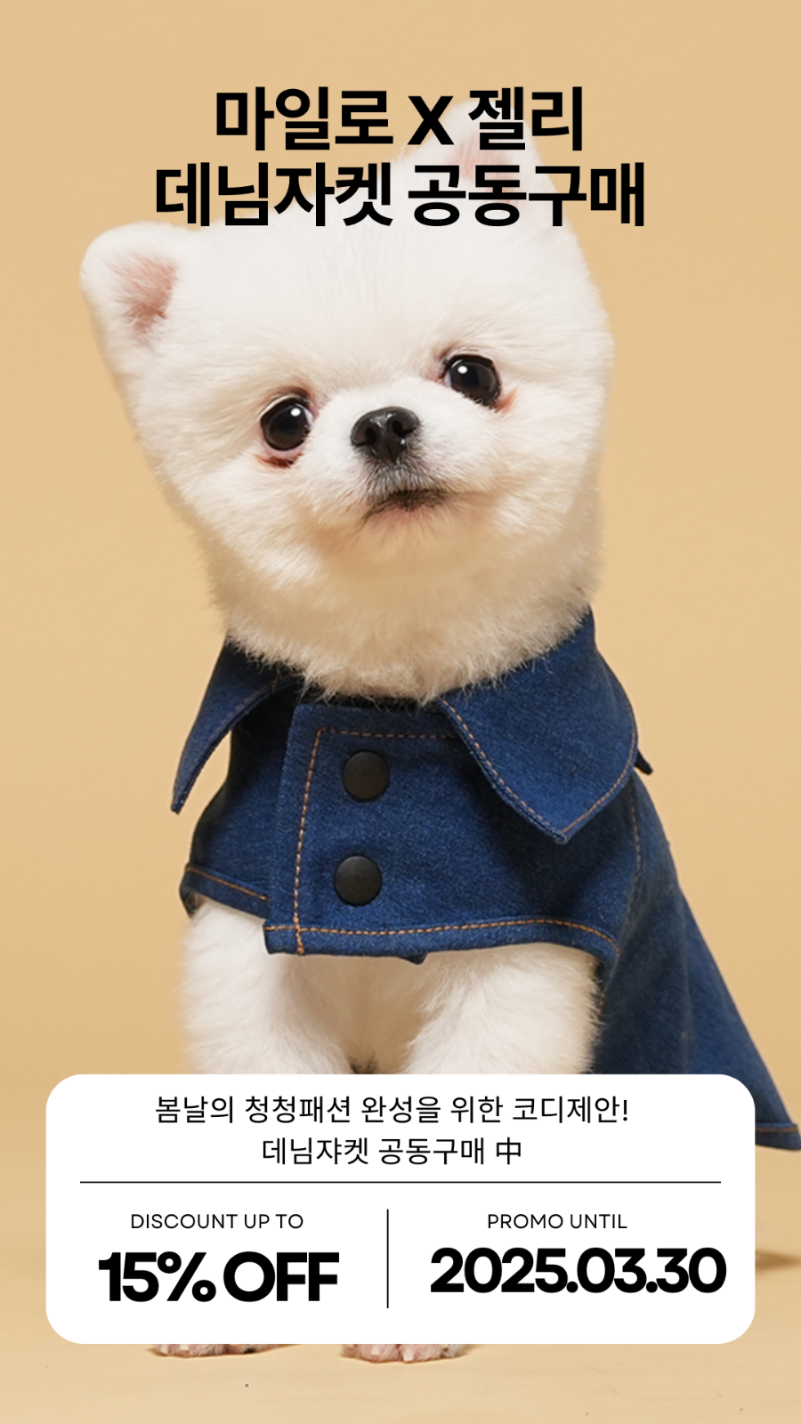 그레잇도그 이미지