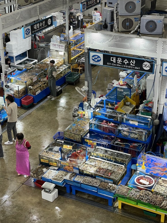 대운수산 이미지