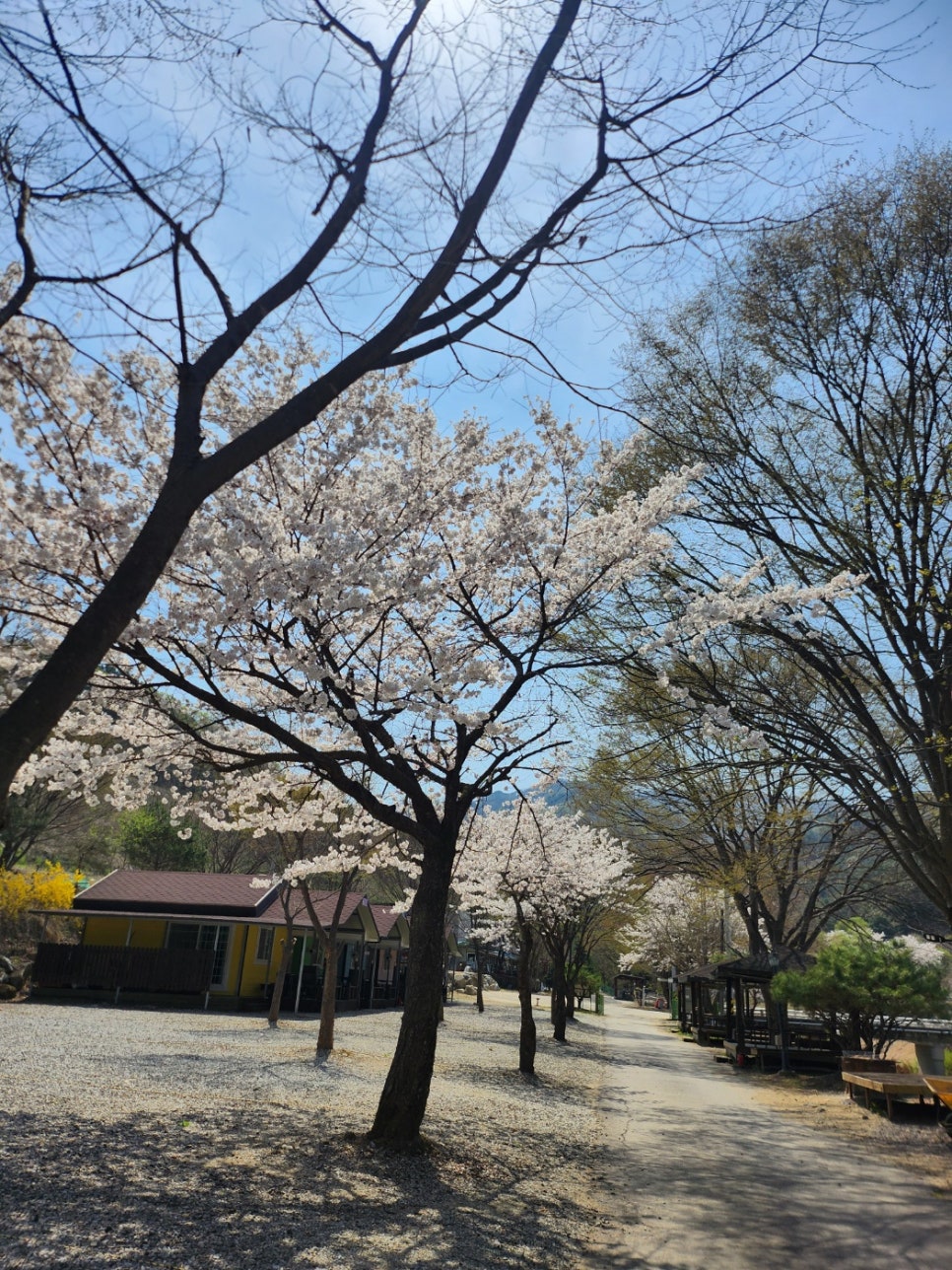 지지벨리유명산오토캠핑장 이미지